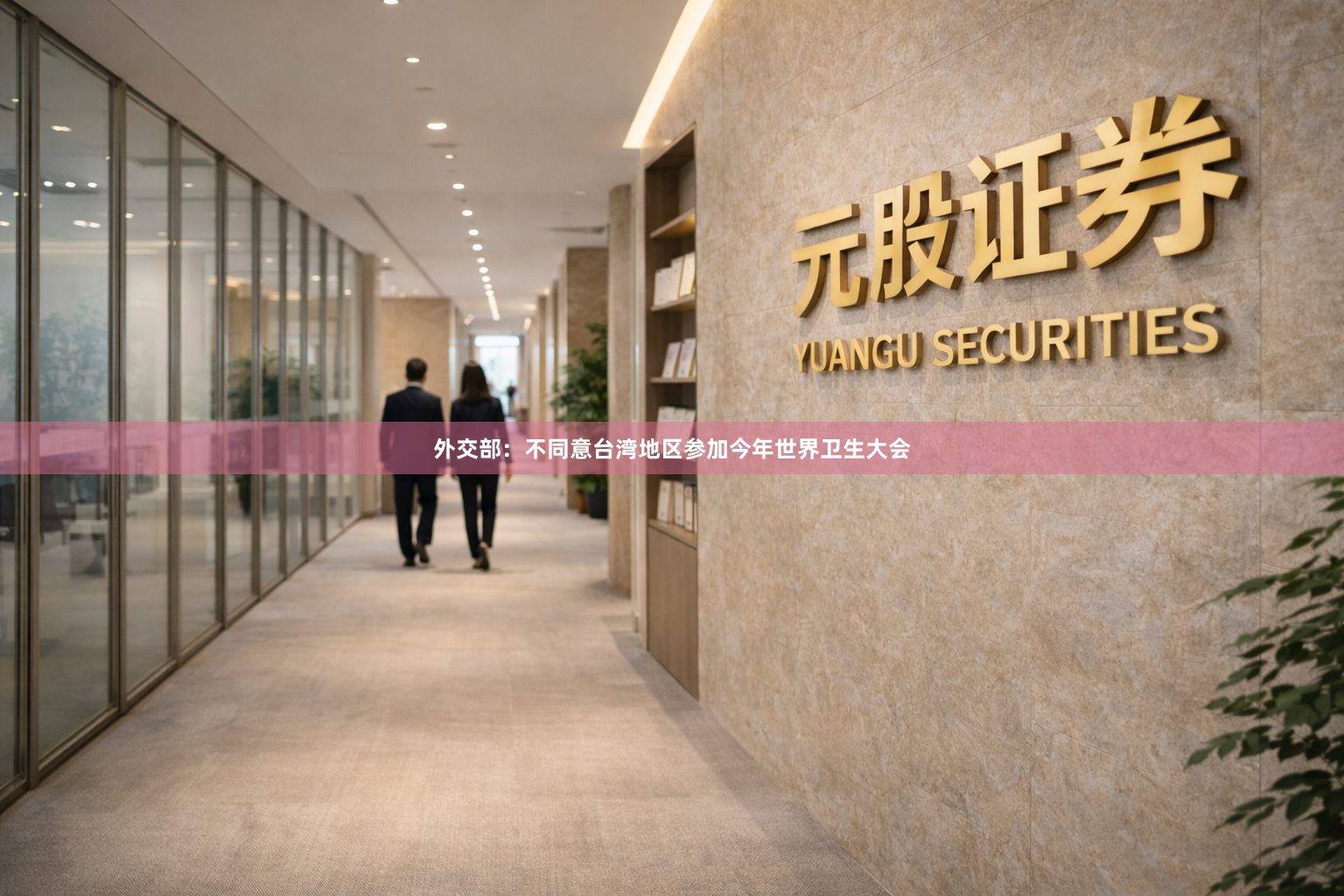 外交部：不同意台湾地区参加今年世界卫生大会